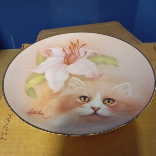 Golden fancy cat plate petals - plate,