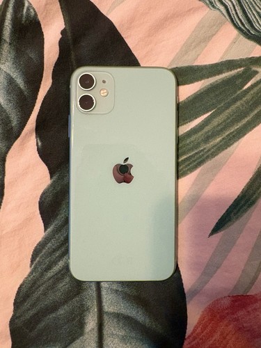 Iphone green 64gb - 64gb, unlocked