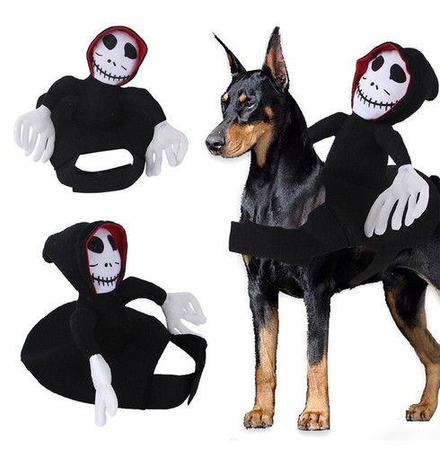 Pet chucky dogs halloween - chucky,