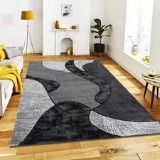 Modern Large Rugs For Living