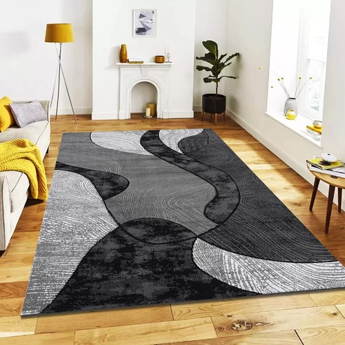 Modern large rugs - modern, living