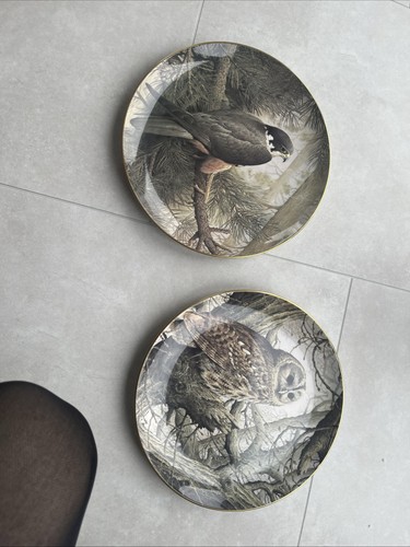 Coalport bone china - china, bird