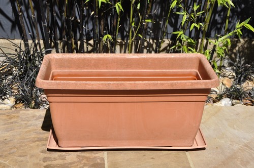 Rectangle plastic plant pot - plastic,