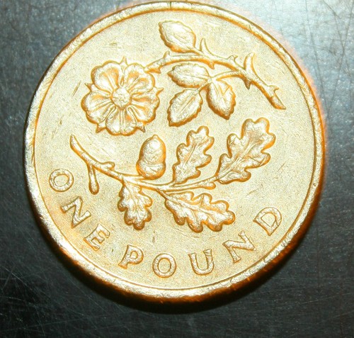 Rare and collectable coins - collectable, £1