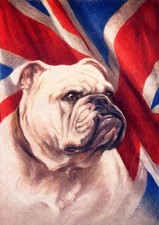 BULLDOG DOG GREETING CARD