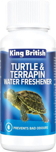 Turtle terrapin water - turtle,
