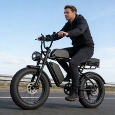 E-Mountain Bike Adults 20 X4.0