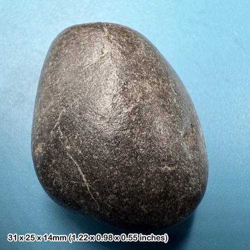 Ichthyosaur coprolite fossil - coprolite,