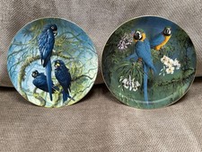 PAIR OF  Wedgewood Plates