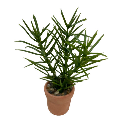 Green foliage plant - green,