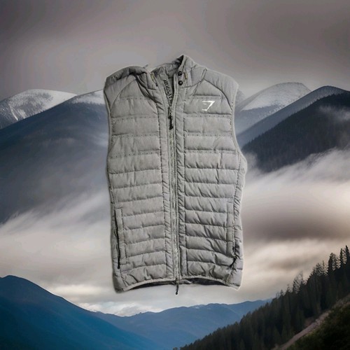 Gymshark sector gilet mens - v2,