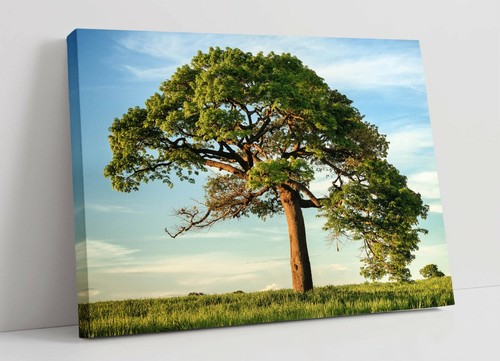 Tree canvas wall art - tree,