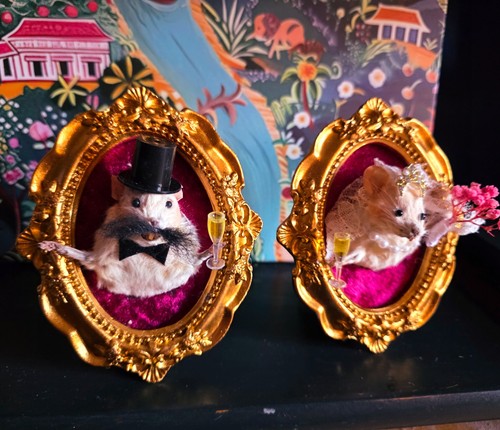 Mouse taxidermy wedding framed - mouse,
