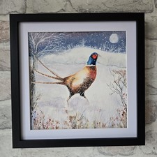 Pheasant Game Bird Watercolour