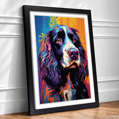 English springer spaniel - english, pop