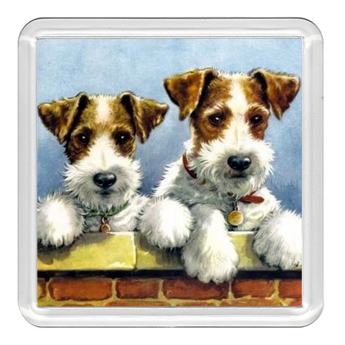 Wire fox terrier - dog, acrylic