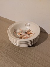 Poole Summer Glory Bowls 6