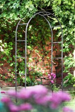 Tom Chambers Classic Metal Garden Arch Rose Archway Black