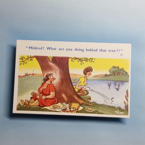 Saucy comic postcard c1965 - postcard,