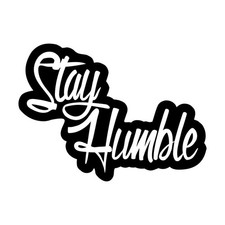 Funny vinyl decal - funny,