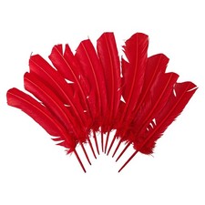 Turkey Feather, 10-12 inch