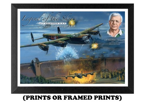 The dambusters 617 squadron - 617,