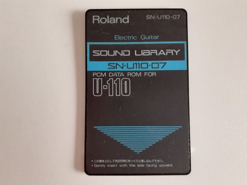 Roland u110 electric - roland,