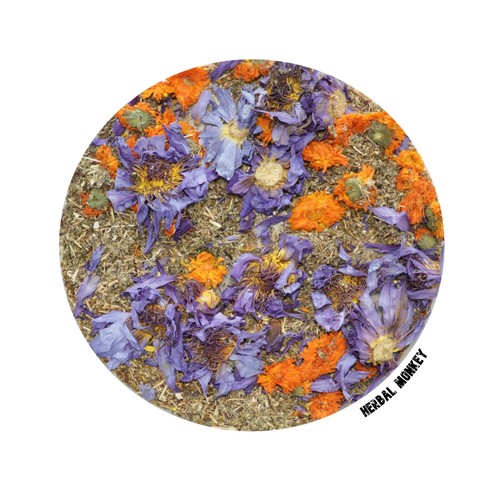 Blue lotus flower johns - flower,, st