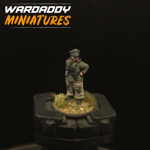 Pro painted 28mm ww2 - pro,