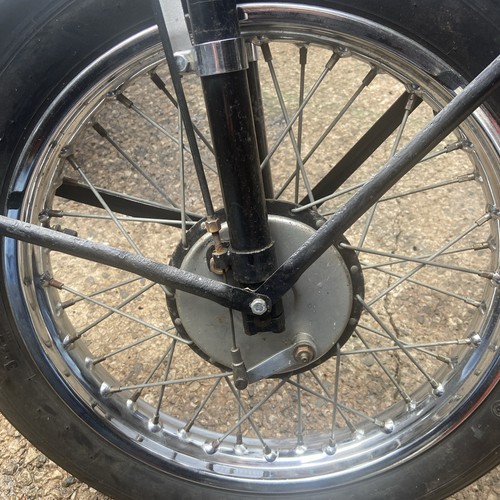 Triumph tiger cub front - tiger,