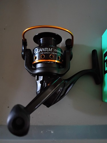 Quantum spinning reel - spinning,