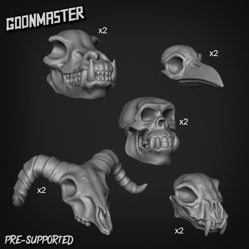 Animal skeleton skulls - &,