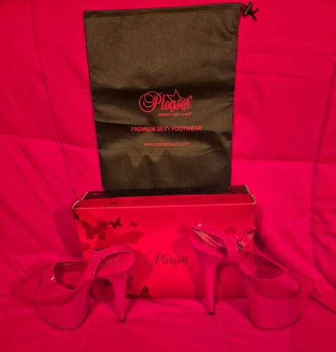 Pleaser shoes flamingo - shoes,