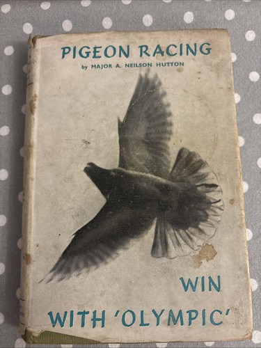 Pigeon racing win with olympic - pigeon,