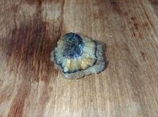 Blue John Fluorite Specimen Castleton Derbyshire UK  Unpolished, not stabilised