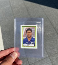 Panini Campeonato Brasiliero 1993 Dida Rookie Sticker 