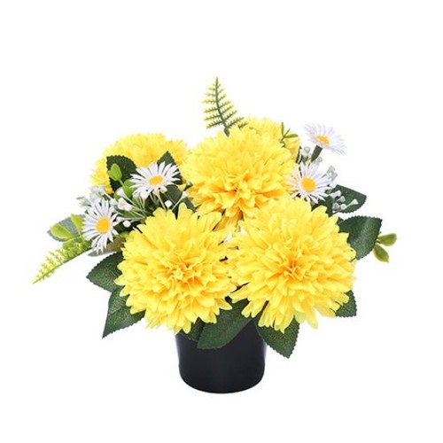 Yellow chrysanthemums memorial - chrysanthemums,