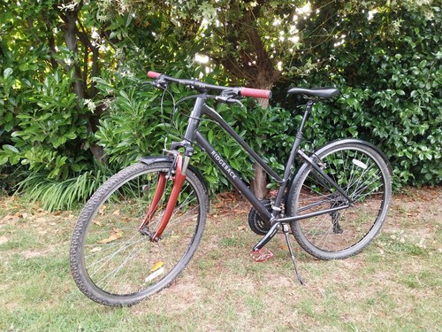 Ridgeback speed - ridgeback,