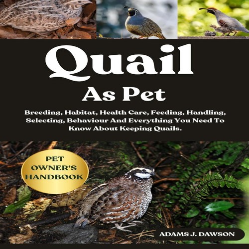 Quail pet breeding habitat - pet,