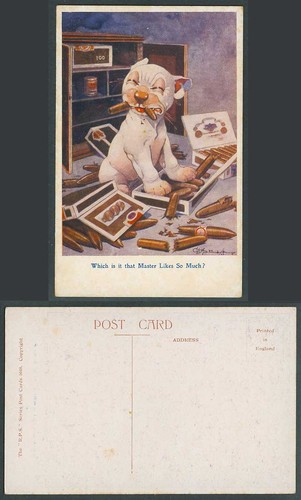Bonzo dog studdy old - dog,