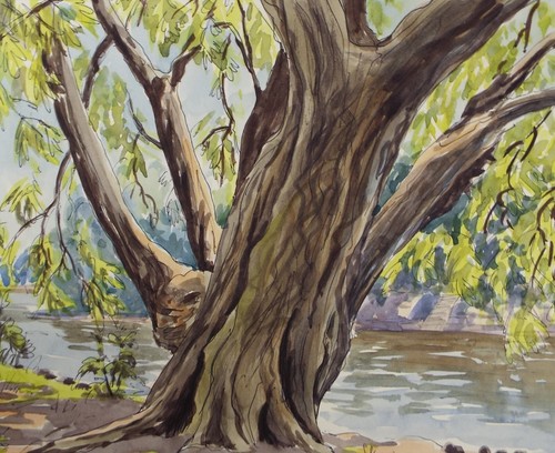 Original watercolour study - watercolour,, a