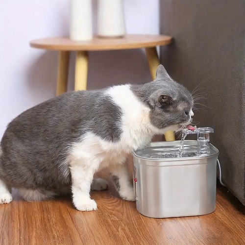 Cat water fountain - fountain, for