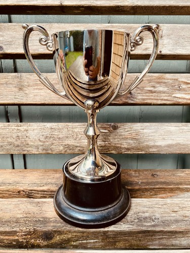 Silver trophy 25 - 🏆, 10.25”