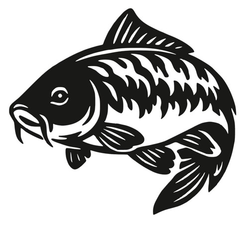 Carp fish fishing angling - carp,