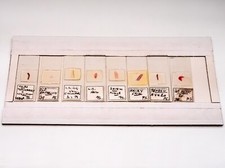 Histology microscope slide set - histology,