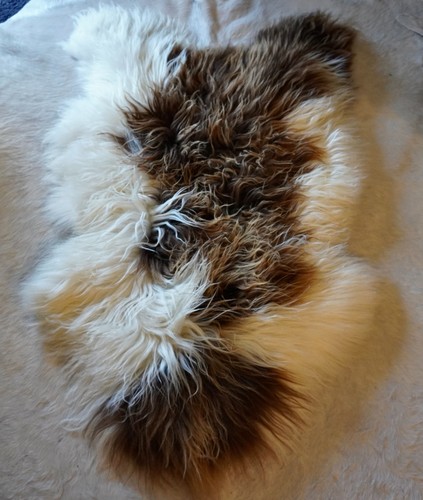 Icelandic sheepskin rug a - icelandic,
