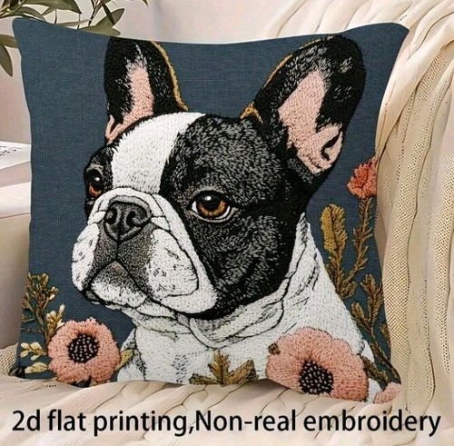 Beautiful french bulldog - 1,
