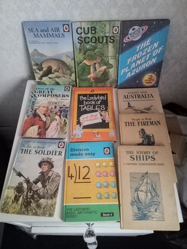 Vintage assorted ladybird - 10,