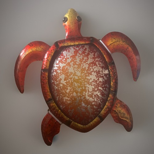 Turtle wall hanging pool - pool, patio
