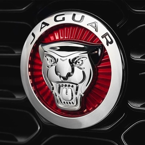 Car front grille emblem badge - front,